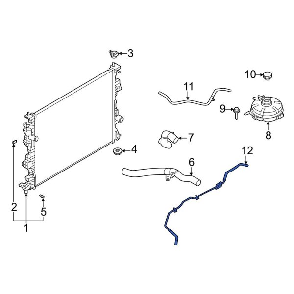 Engine Coolant Overflow Hose