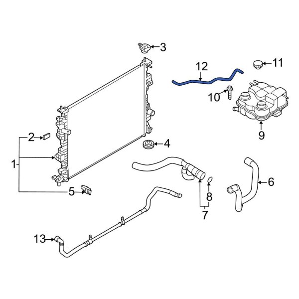 Engine Coolant Overflow Hose