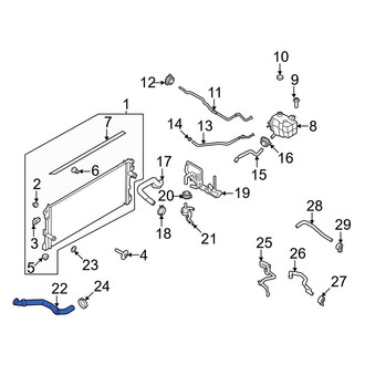 Ford OE - Lower Radiator Coolant Hose