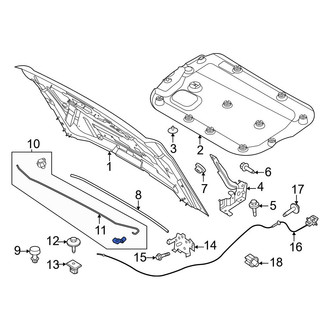Ford OE - Front Hood & Trunk Prop Rod
