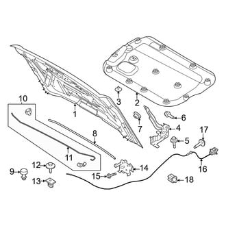 Ford OE - Hood & Components (Base / Badlands / Big Bend / Black Diamond / Everglades / Outer Banks / Wildtrak)