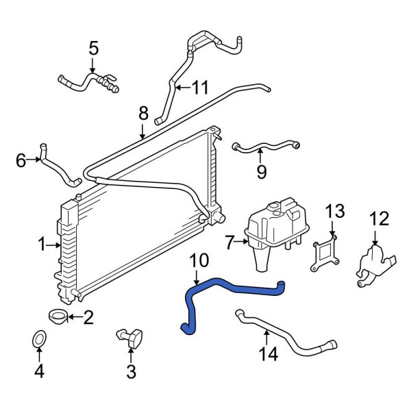 Engine Coolant Overflow Hose