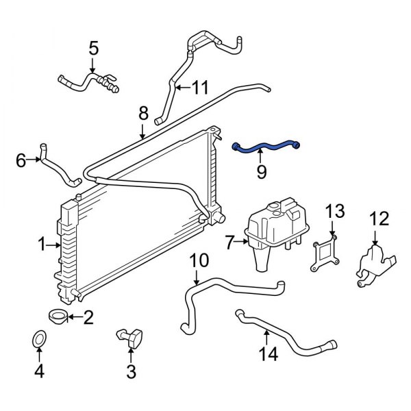 Engine Coolant Overflow Hose