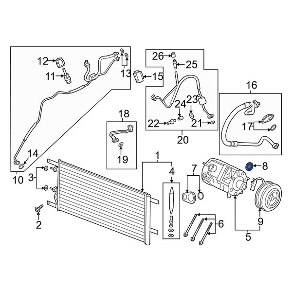 Ford OE DL3Z19B596B - A/C Refrigerant Line Seal Kit