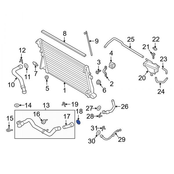 Radiator Coolant Hose Seal