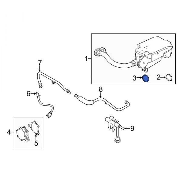 Vapor Canister Water Separator Gasket