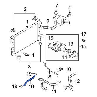 Ford OE - Lower Radiator Coolant Hose
