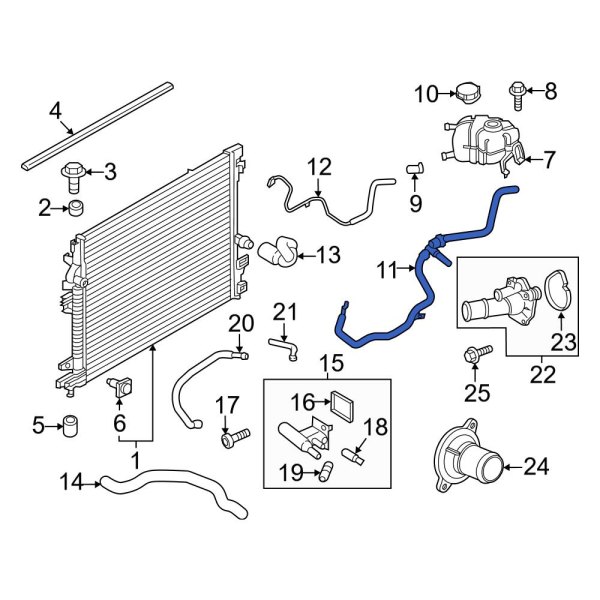 Engine Coolant Overflow Hose