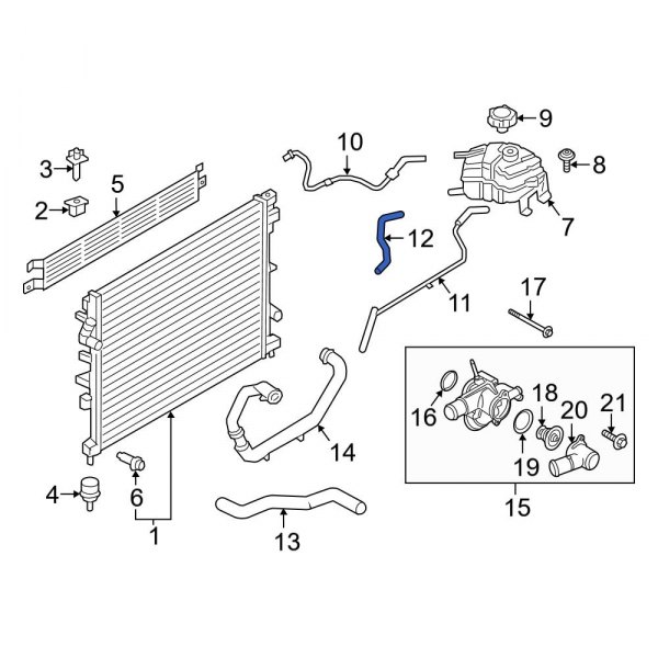 Engine Coolant Overflow Hose