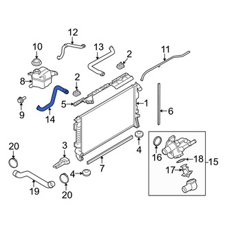 Ford OE - Lower Radiator Coolant Hose