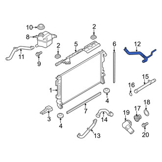 Ford OE - Upper Radiator Coolant Hose