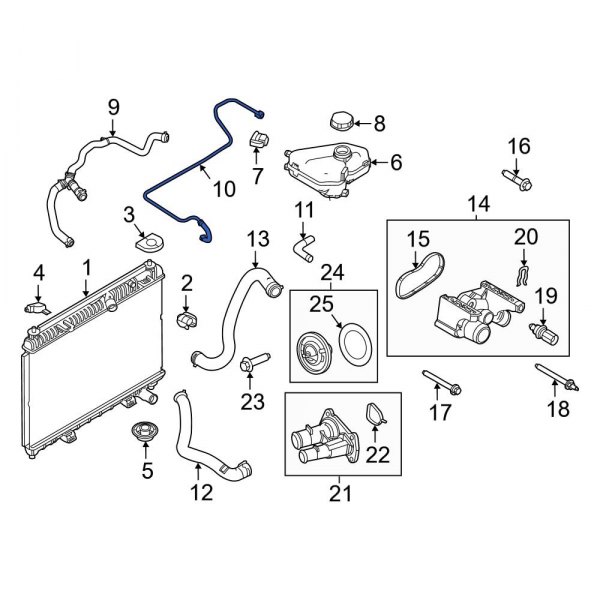 Engine Coolant Overflow Hose