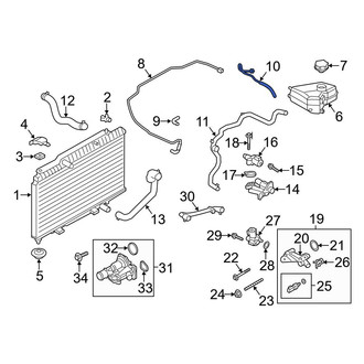 Ford OE - Engine Coolant Overflow Hose