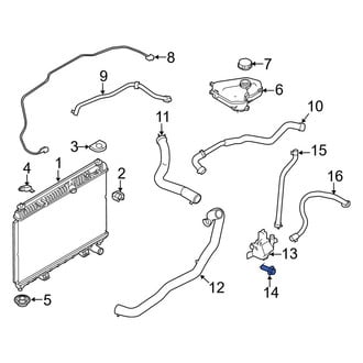 Ford OE - Engine Water Pump Bolt