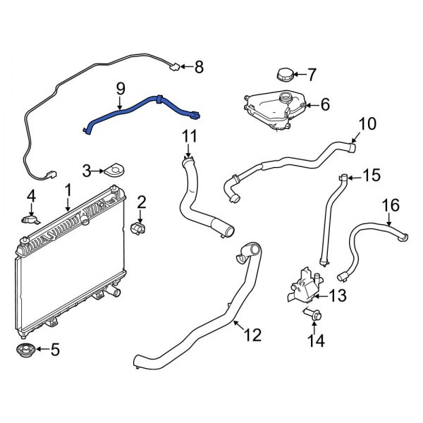 Engine Coolant Overflow Hose