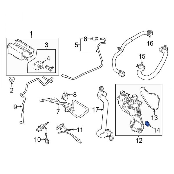 Vapor Canister Purge Valve Assembly O-Ring