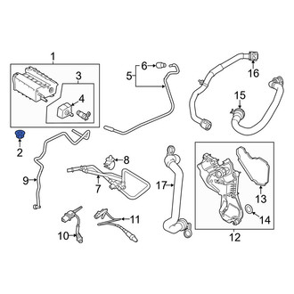 Ford OE - Vapor Canister Nut