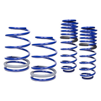 Ford Performance® - 1.5" x 1.5" Front and Rear Lowering Coil Springs