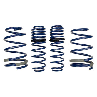 Ford Performance® - 1" x 1" Front and Rear Lowering Coil Springs