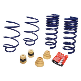 Ford Performance® - 1" x 1" Front and Rear Lowering Coil Springs