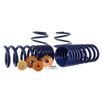 Ford Performance® - 1" x 1" Front and Rear Lowering Coil Springs
