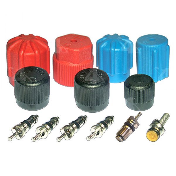 Four Seasons® - A/C System Valve Core and Cap Kit