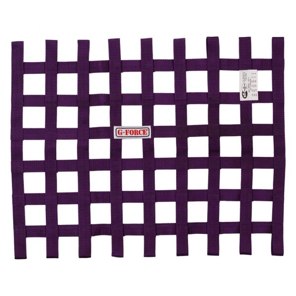 G-Force Racing Gear® - Ribbon Purple Window Net