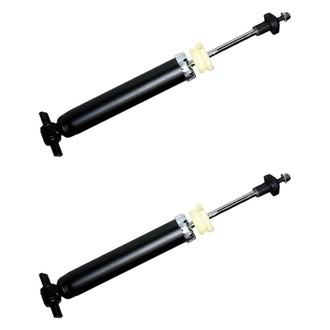 Gabriel® - Ultra™ Premium Twin-Tube Strut