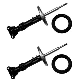 Gabriel® - Ultra™ Premium Front Twin-Tube Strut