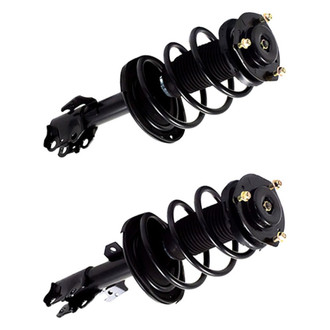 Gabriel® - ReadyMount™ Fully Loaded Strut Assembly