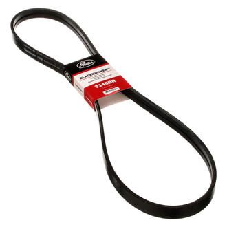 Gates® - Accessory Drive Belt