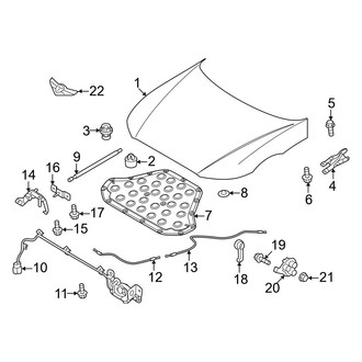 Genesis OE - Hood & Components