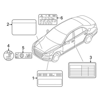 Genesis OE - Information Labels - Labels