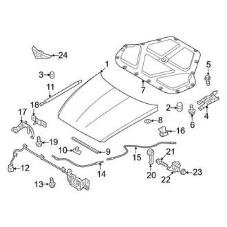 Genesis OE - Hood & Components