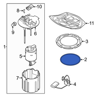 Genesis OE - Fuel Pump Tank Seal