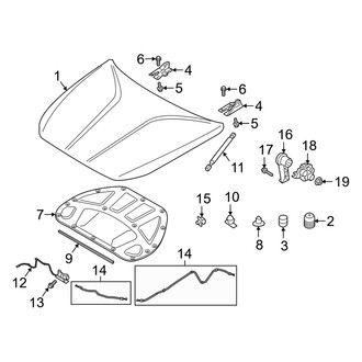 Genesis OE - Hood & Components