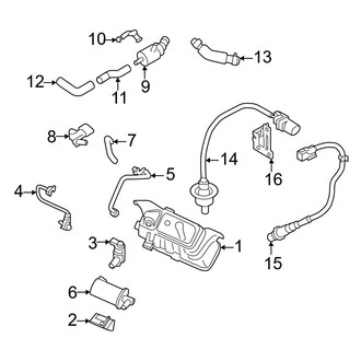 Genesis OE - Emission System (2.0L)