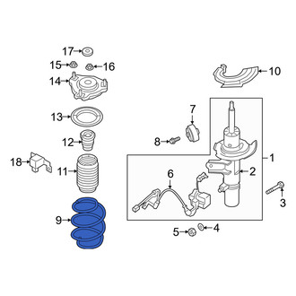 Genesis OE - Front Coil Spring