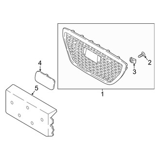 Genesis OE - Front Bumper & Grille - Grille & Components (Sport)