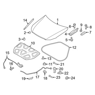 Genesis OE - Hood & Components