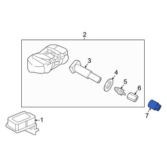 Genesis OE - Tire Pressure Monitoring System (TPMS) Sensor Nut