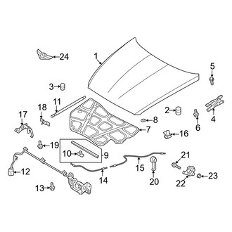 Genesis OE - Hood & Components