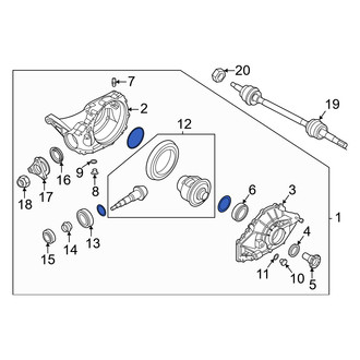 Genesis OE - Rear Differential
