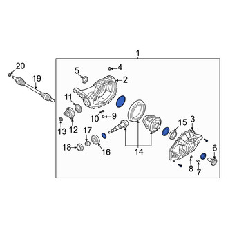 Genesis OE - Rear Differential