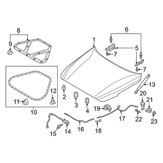 Genesis OE - Hood & Components