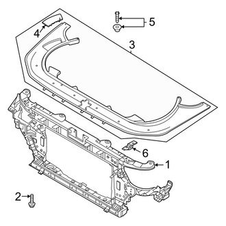 Genesis OE - Radiator Support