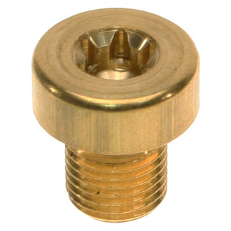 Genuine® - Passenger Side Fuel Pump Bolt