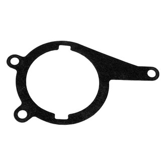 Genuine® - Vacuum Pump Gasket