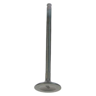 Genuine® - Intake Valve