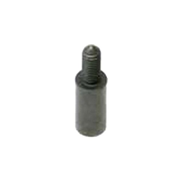 Genuine® 11317592878 Timing Chain Guide Bolt